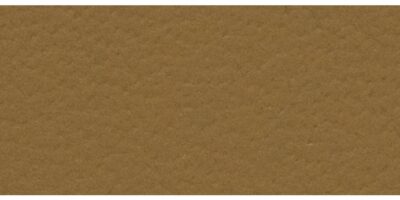 1227 Savanna Beige (Nappa leather for Porsche)