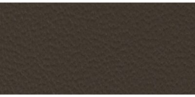 1254 Umber (Nappa leather for Porsche)