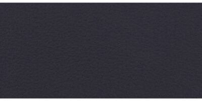 1921 Delphinus Blue (Nappa leather for Lamborghini)